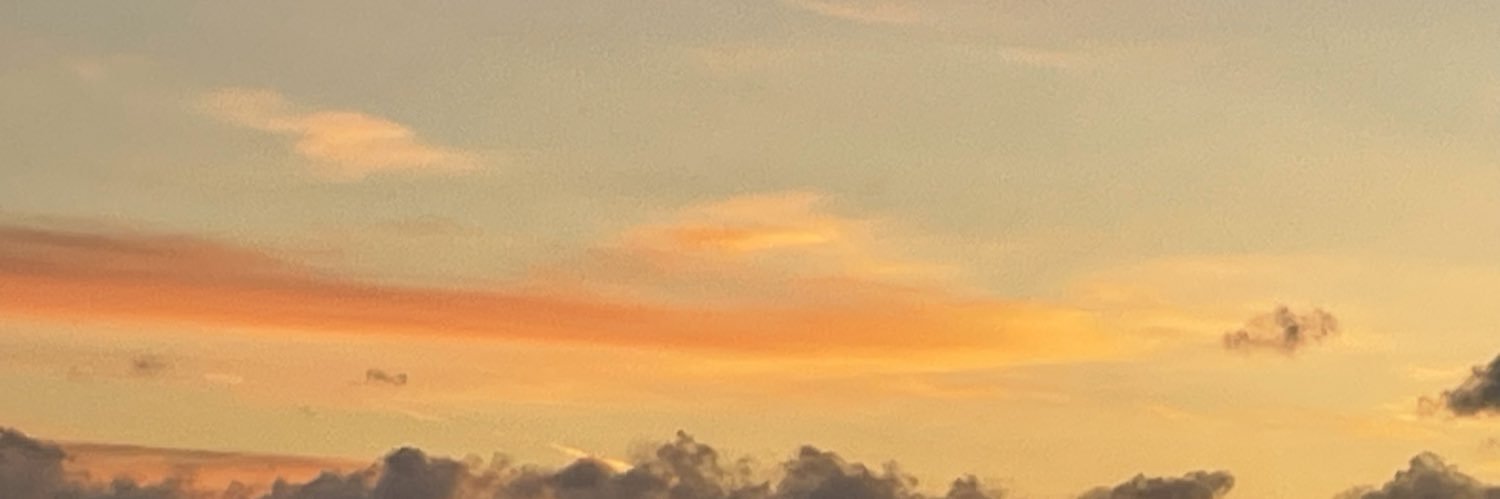 saevaughan's profile banner image