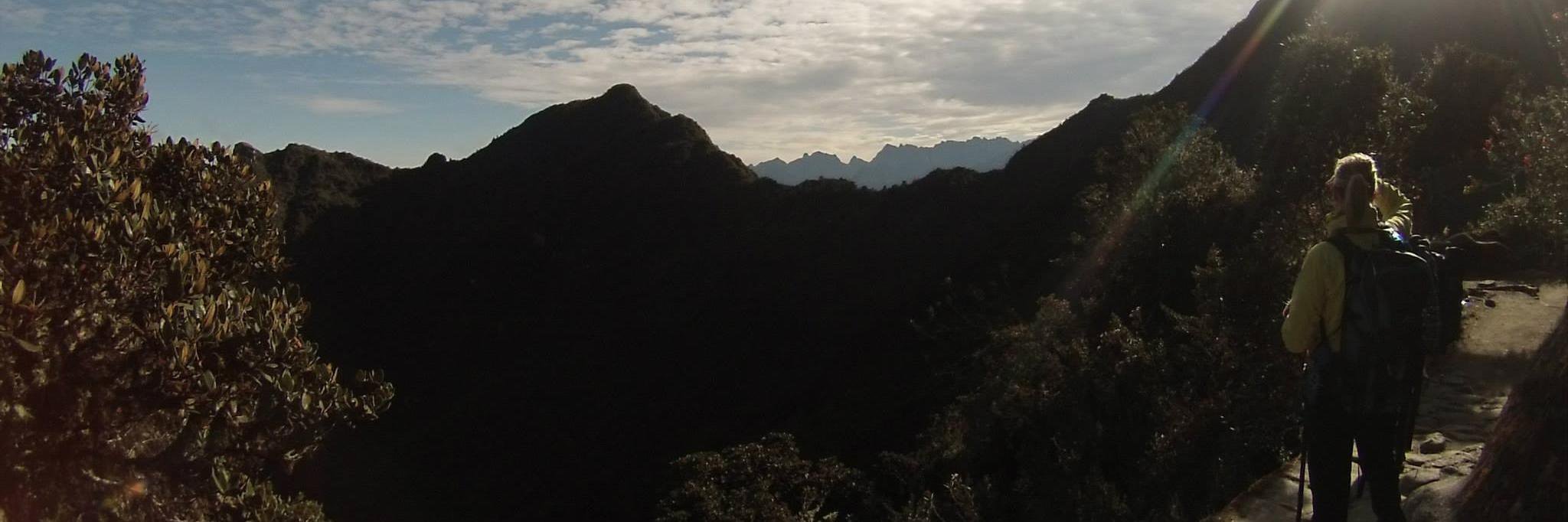 Christina Roman banner