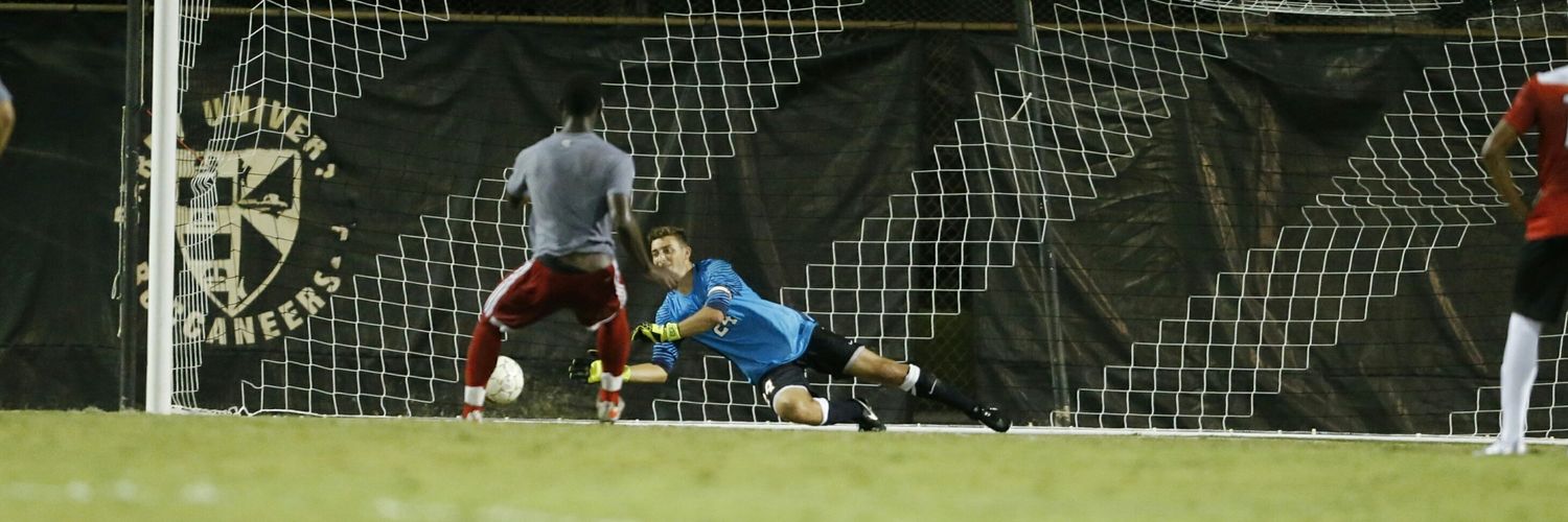 mscheraldi's profile banner image