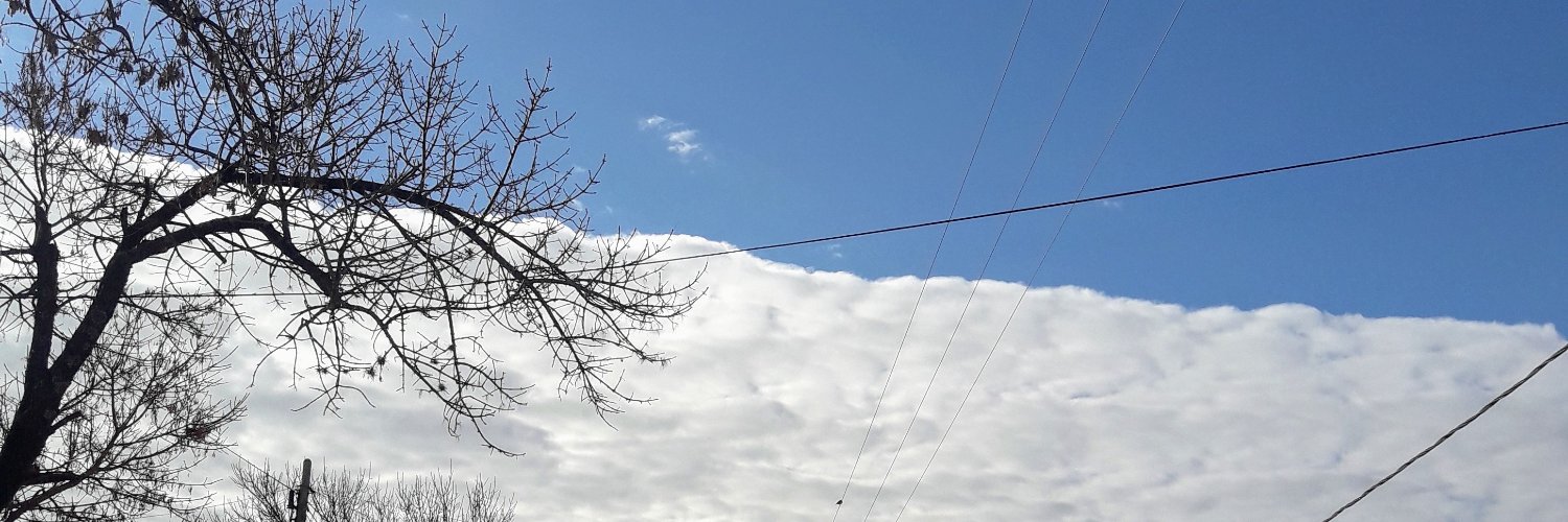 SofiCasini's profile banner image