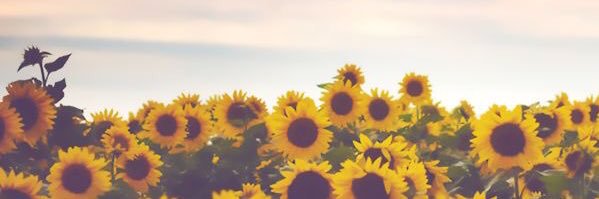 abbymorri's profile banner image