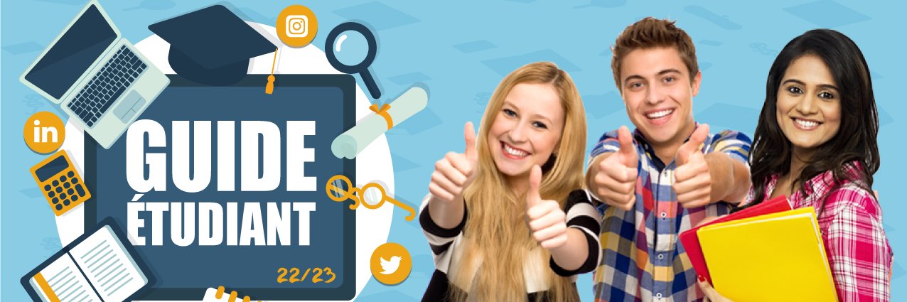 IUT Saint-Dié banner