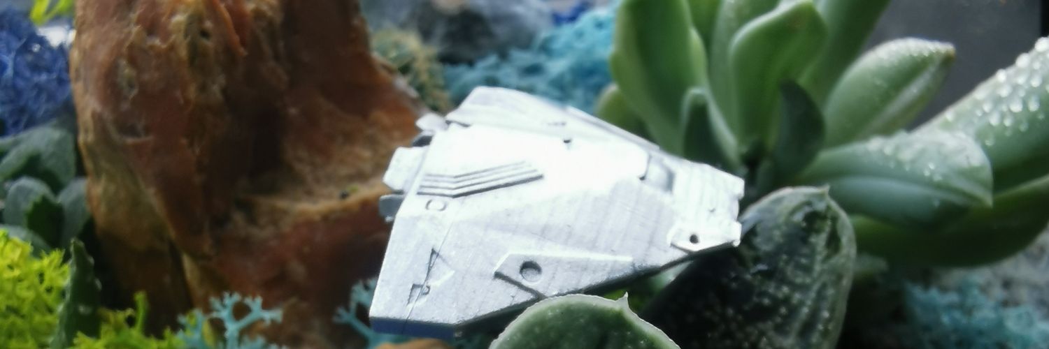 David Pearson banner