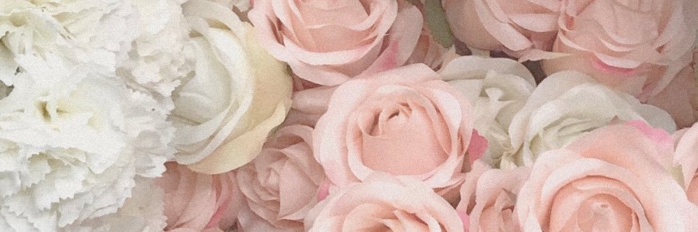vanedandrea's profile banner image