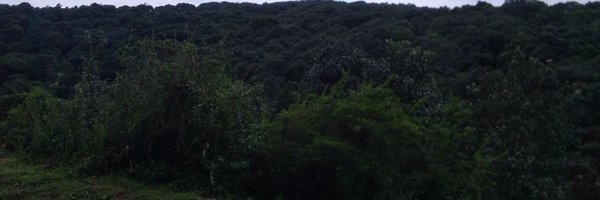 Nancy_Mugimba Profile Banner