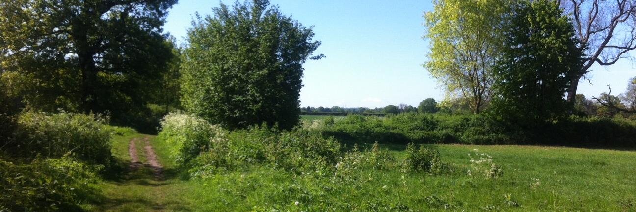 Ruby Kitching banner