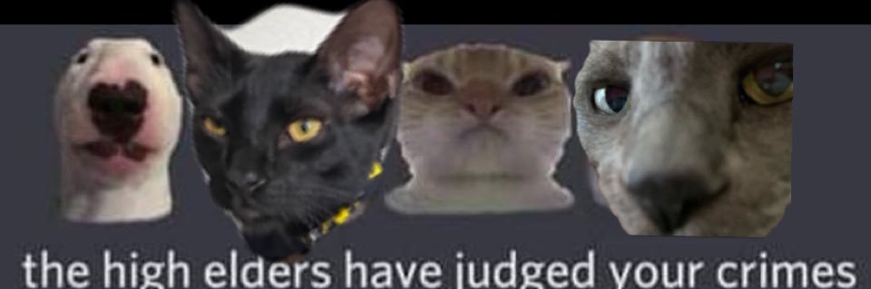 michaeladamop's profile banner image