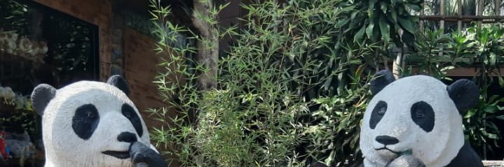 feraafhey's profile banner image