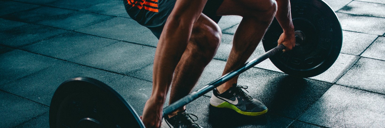 Protein Dynamix™ banner