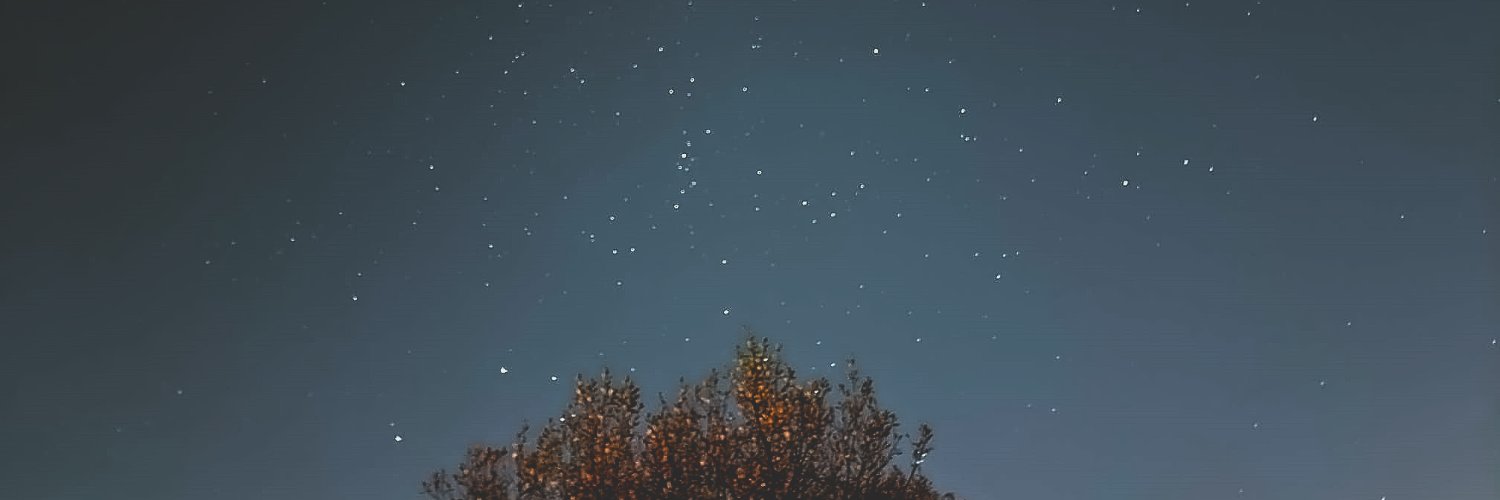 Big Tam Stankovich (It/That) 🇰🇭 🇬🇮 🖨 banner