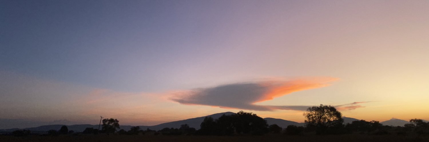 elisaplus's profile banner image
