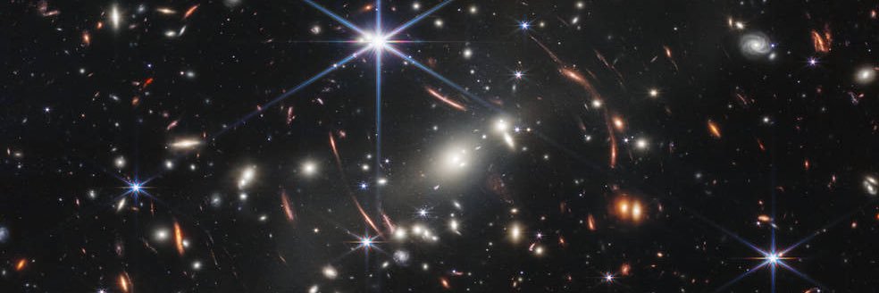 Harper Stewart banner