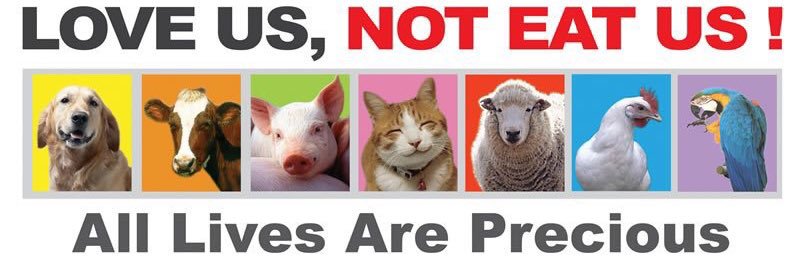 Defendanimals banner