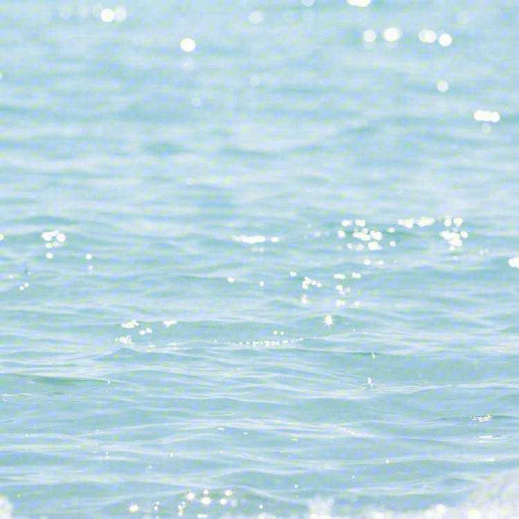 ashlee clawson banner