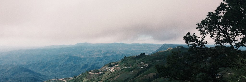 r_mareena's profile banner image