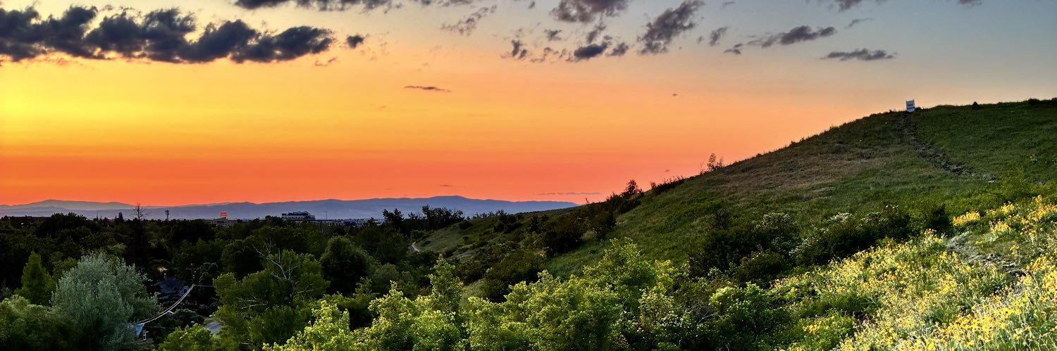 Bozeman Veterinary Clinic banner