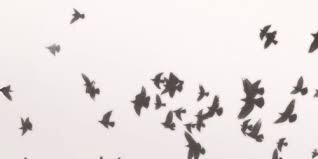 _LetyCastro36's profile banner image
