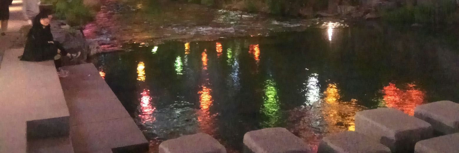 Velimir Radicevic banner