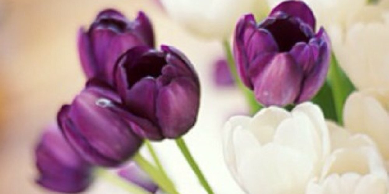 mmalwabel's profile banner image