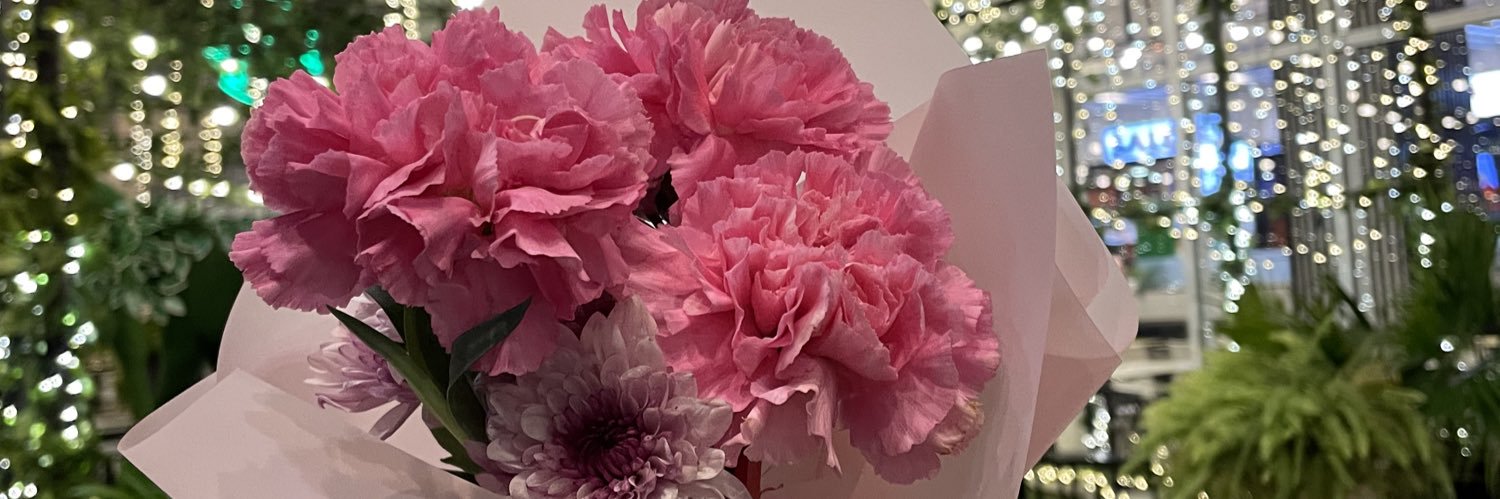 doreenBalen's profile banner image