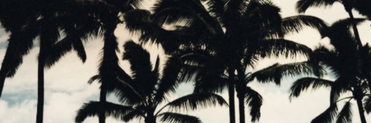 goverde98's profile banner image