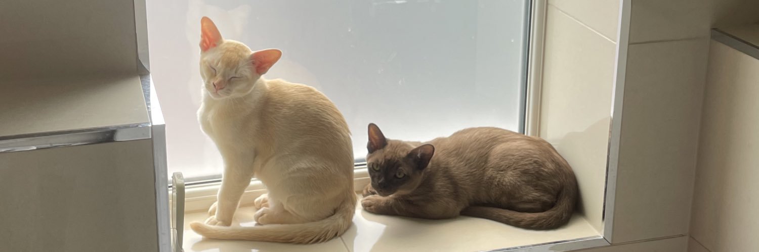 Kate Englefield banner