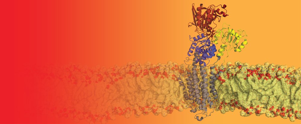 Maike Bublitz banner