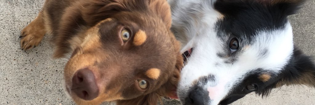 brxdjn's profile banner image