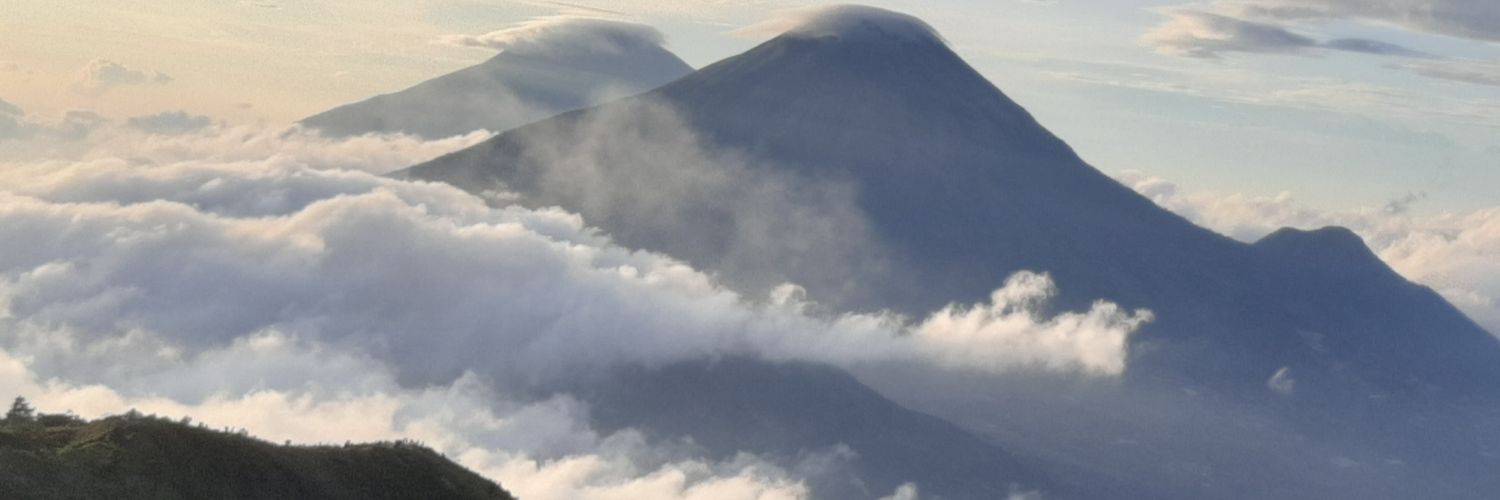 𝓣𝓲𝓮 ☕🐾 banner