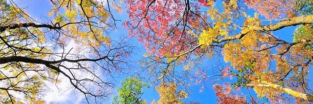 Sunil Kumar Sahu banner