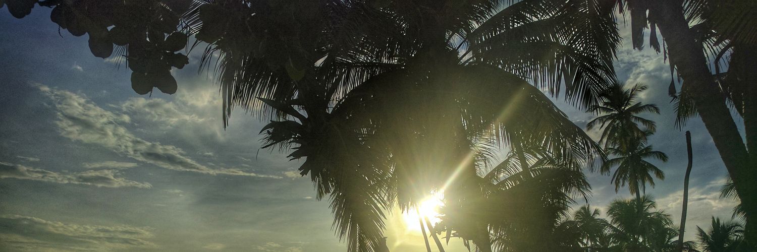 carlosalb's profile banner image