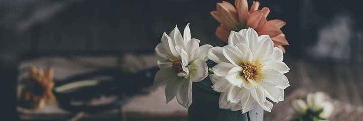 farintya26's profile banner image