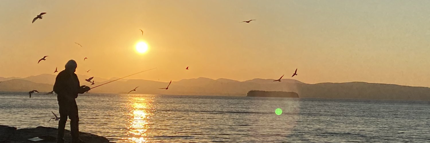 celdridge8's profile banner image
