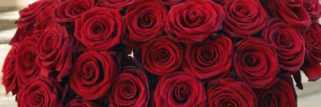 EsmaIsmahan's profile banner image