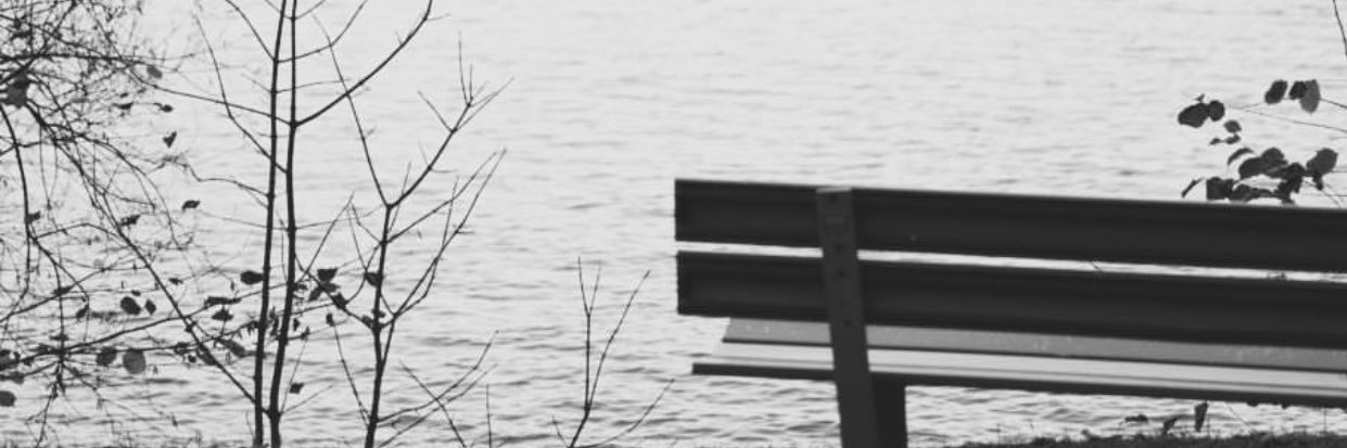 ptroctavia's profile banner image