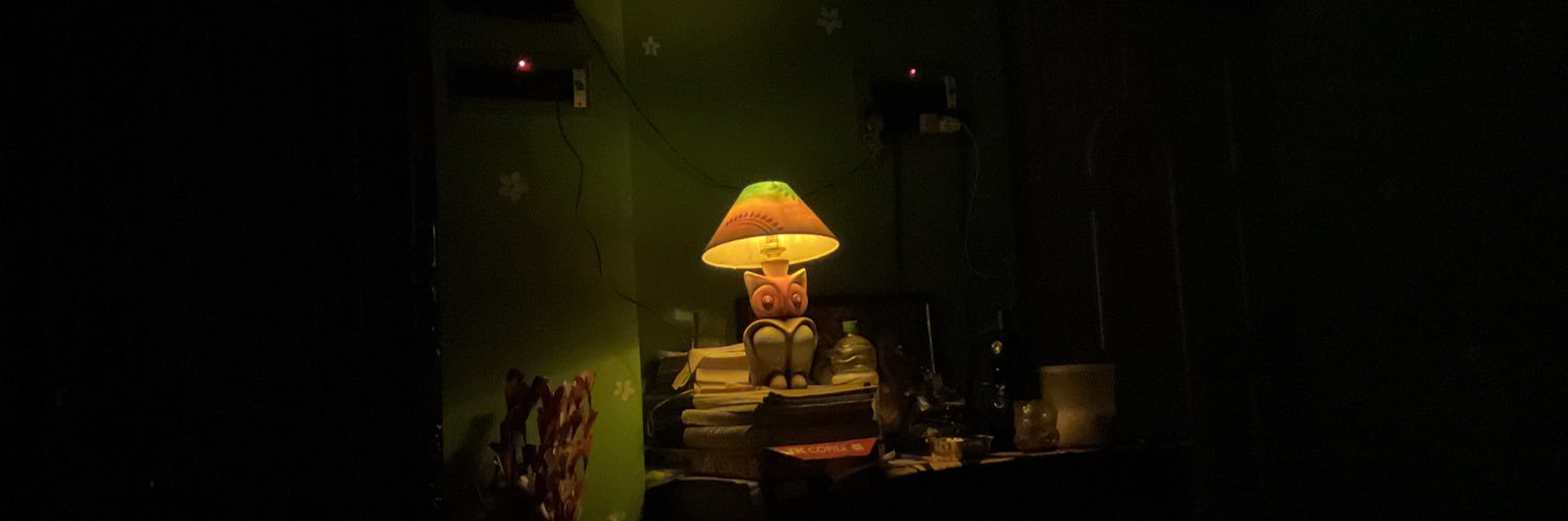 santanucsc's profile banner image
