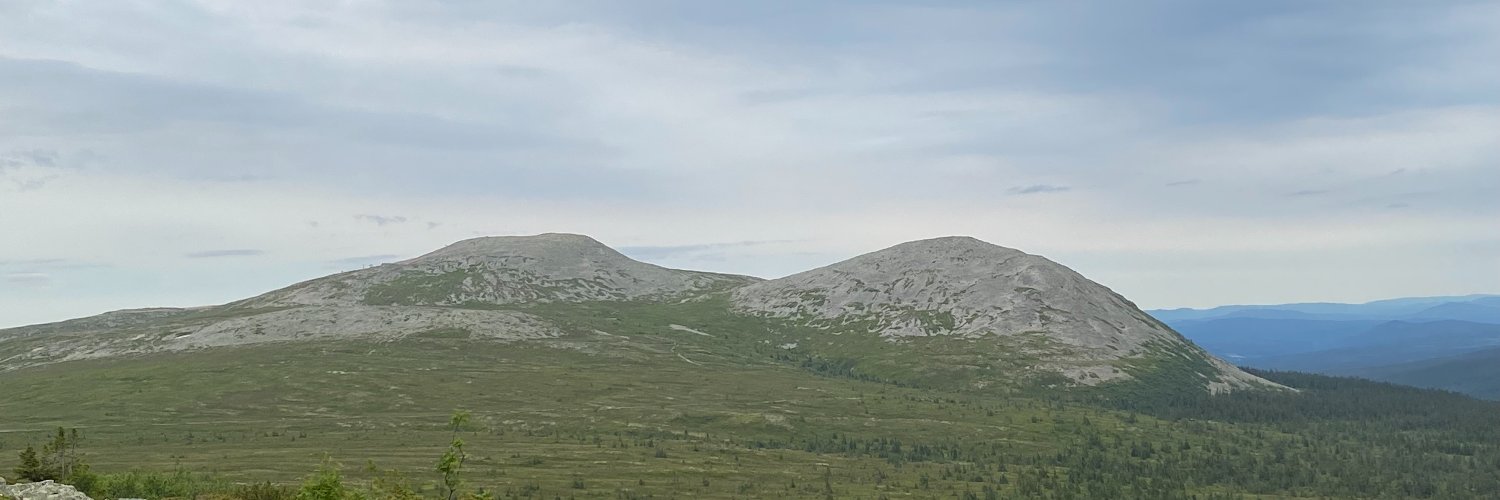 Ann-Sofie V Often banner