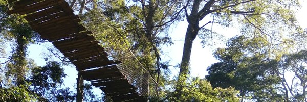 chepparing Profile Banner