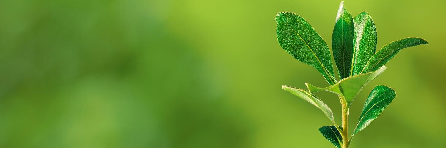 Ingenieria_3e's profile banner image