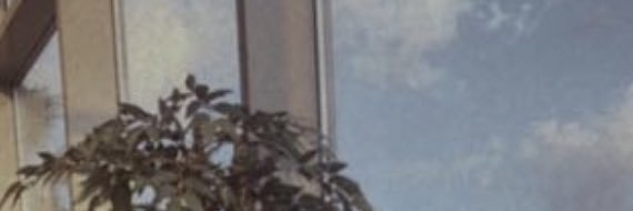 alarm_Night's profile banner image