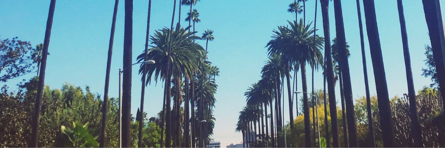 sheacope's profile banner image