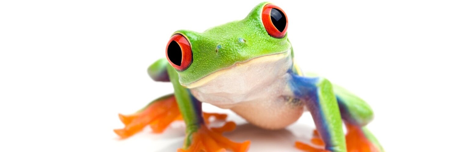 GoSeeVeenstra's profile banner image