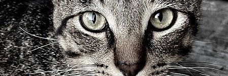 doofus814's profile banner image