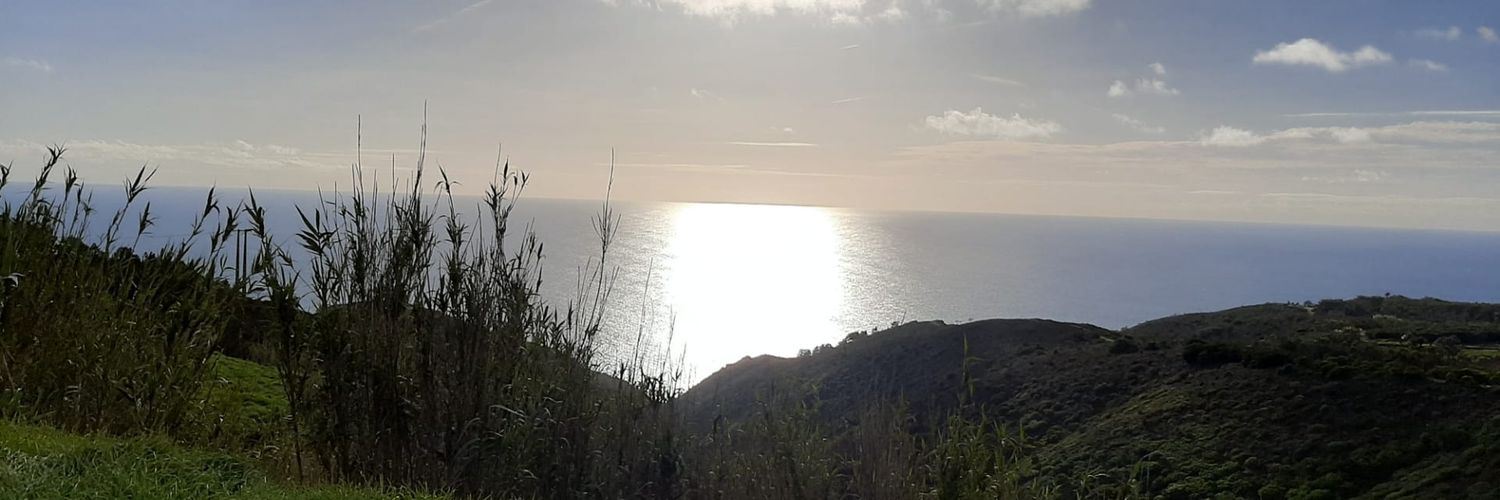 larixa's profile banner image
