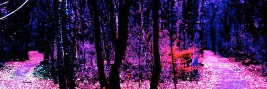 NothingOfMerit's profile banner image