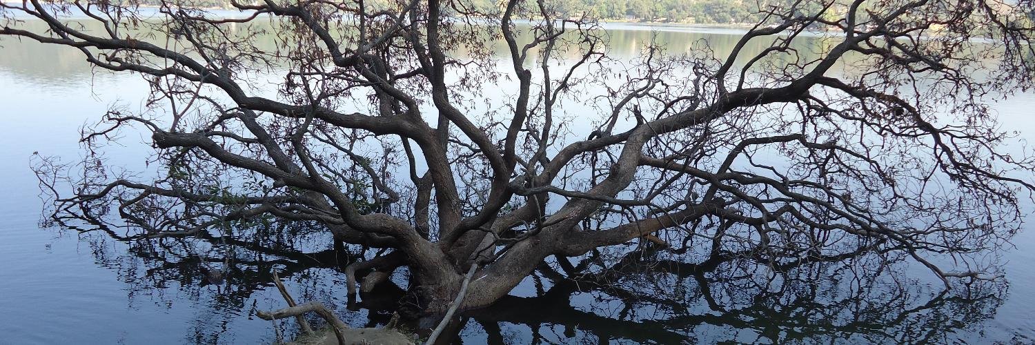 Geeta Mohan گیتا موہن गीता मोहन banner