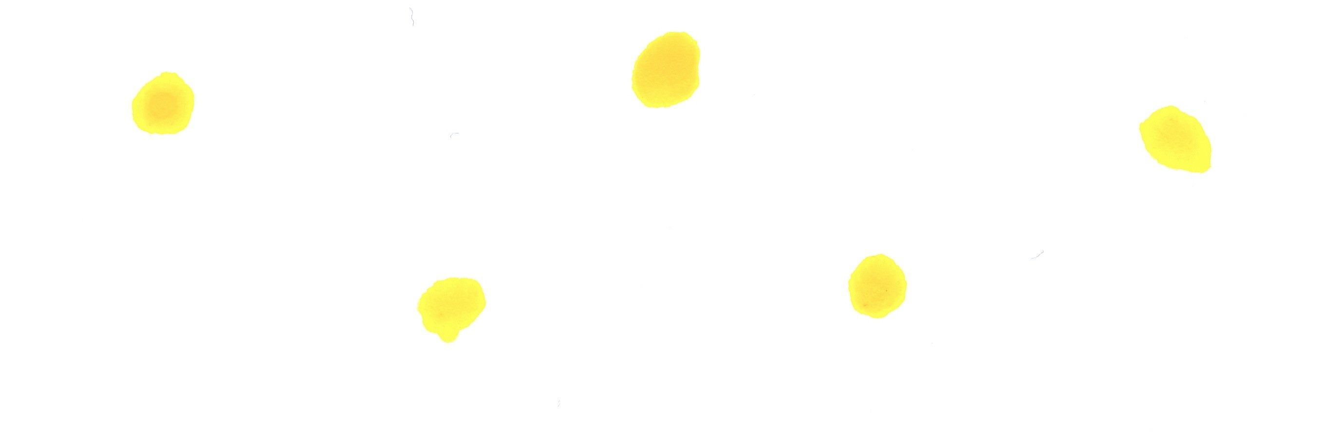 valentinaiemmi's profile banner image