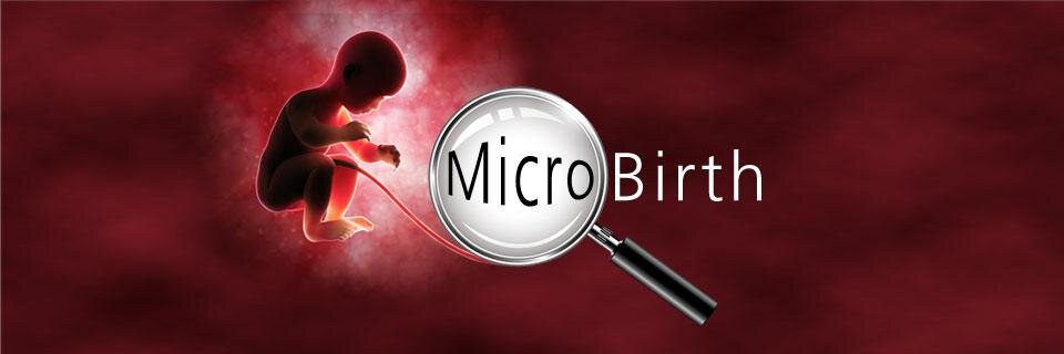 MicrobirthBU's profile banner image
