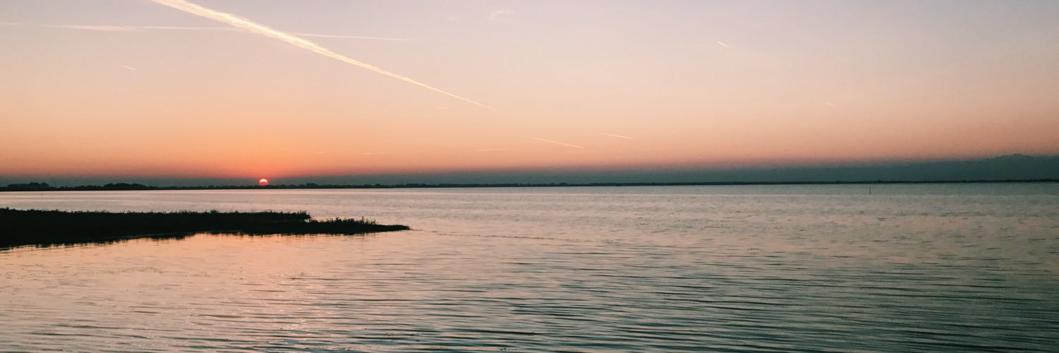 AliceeRomano's profile banner image