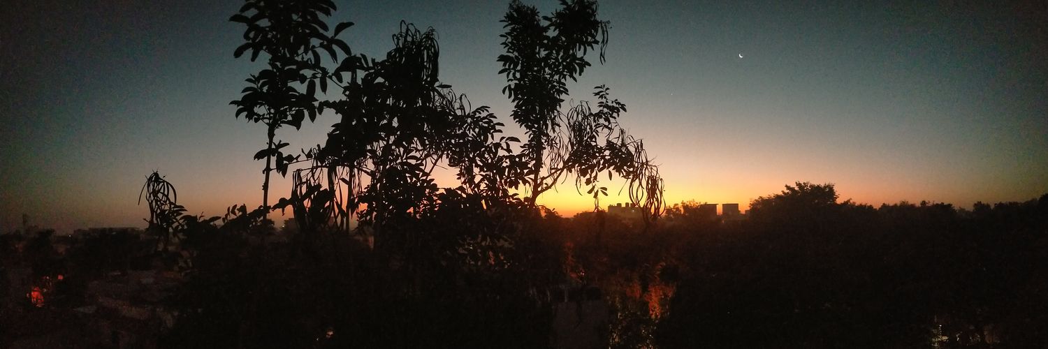 Debiarpi's profile banner image
